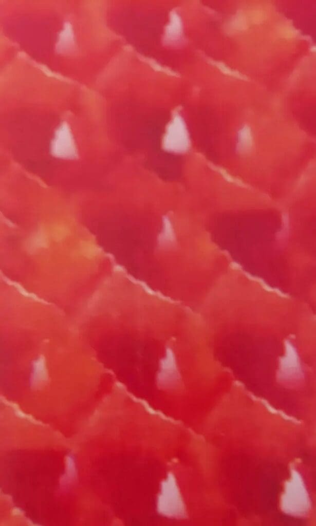 A close up of the red fish scale pattern