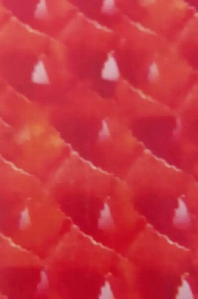 A close up of the red pattern on a fish skin.